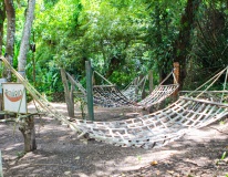 Foto: Alexandre Vieira/Ascom Alurb