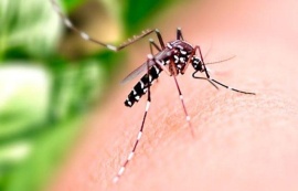 Saúde orienta população sobre cuidados com casas e empresas fechadas durante o Carnaval