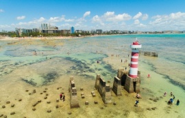 Maceió se destaca como destino mais procurado para voos e hospedagens entre setembro e novembro, aponta KAYAK