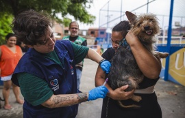 Força-tarefa da Prefeitura de Maceió atua na proteção de pessoas e animais em áreas de risco