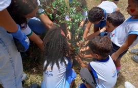 Alunos de CMEI na Pitanguinha são beneficiados por ações do Projeto Arborizar é Massa