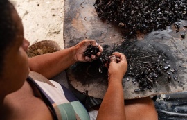 Maceió investe no fortalecimento das marisqueiras e na preservação da Lagoa Mundaú