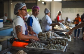 Semana Santa impulsiona vendas de pescados e mariscos em Maceió