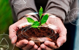 Saúde fortalece ações de Vigilância Ambiental em 2025