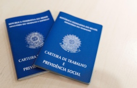 Secretaria do Trabalho disponibiliza 1.135 vagas de emprego pelo Sine Maceió
