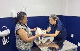 HC Pet muda histórias e leva mais saúde e dignidade aos pets de Maceió