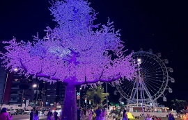 Iluminação de Natal no Parque Massay-ó-k encanta maceioenses e turistas