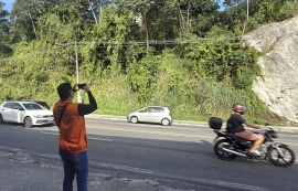 Defesa Civil de Maceió recomenda retirada de árvores em áreas de risco e próximas à rede elétrica