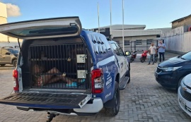 Guarda Municipal apreende drogas em casa de passagem em Maceió