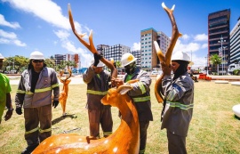 Ornamentação natalina é alvo de vandalismo no Parque Massay-ó-k