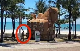 Segurança Cidadã divulga imagens do suspeito de atear fogo na escultura “O Boi”, no Jaraguá