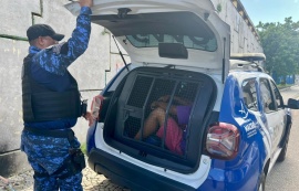 Operação da Segurança Cidadã resulta na prisão de dois homens e apreensão de drogas