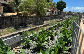 Vice-prefeito e titular da Seminfra destaca importância dos jardins filtrantes para o Renasce Salgadinho