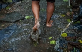 Saúde orienta população de Maceió sobre leptospirose no período chuvoso