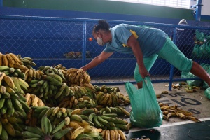Semed garante a estudantes e familiares alimentos saudáveis. Foto: Pedro Farias/Ascom Semed