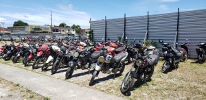 Veículos apreendidos pela SMTT são leiloados. Foto: Ascom SMTT