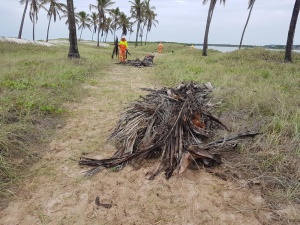 Cerca de 10 servidores da Prefeitura de Maceió intensificaram a varrição e o recolhimento de resíduos. Foto: Ascom Sudes