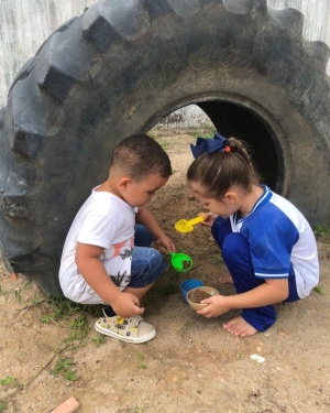 Crianças aprendem com elementos da natureza. Foto: cortesia
