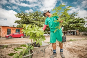 Principais locais escolhidos pela prefeitura para receberam a arborização são os pontos crônicos de descarte irregular de lixo. Foto: Alexandre Vieira / Ascom Sudes