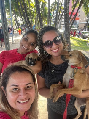 Acolhimento responsável vem sendo incentivado nas Feiras de Adoção. Foto: Ascom GGI-CA