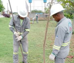Serão fixados oito postes metálicos em pontos estratégicos das praças. Foto: Ascom Ilumina