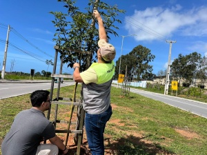 Alurb vistoria áreas que receberam plantios de compensação. Foto: Ascom Alurb