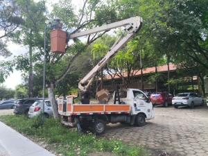 Serviços têm previsão para serem finalizados até a quarta-feira (13). Foto: Ascom Ilumina
