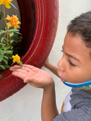 William Davi, 5 anos, deu a uma das plantas o nome de “Flor do Amor”. Foto: cortesia