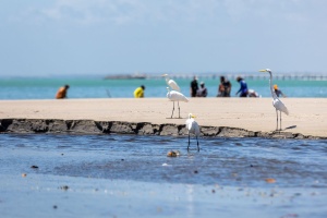 Obras mudarão a realidade do Riacho Salgadinho. Foto: Itawi Albuquerque/Secom Maceió