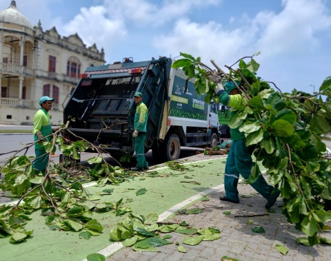 Alurb realiza vistorias e podas em árvores na Praia da Avenida