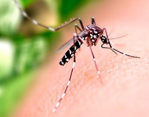 Saúde orienta população sobre cuidados com casas e empresas fechadas durante o Carnaval