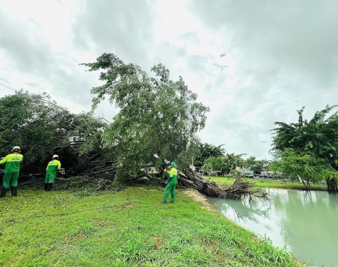 Prefeitura intensifica ações ambientais que minimizam riscos durante o período chuvoso