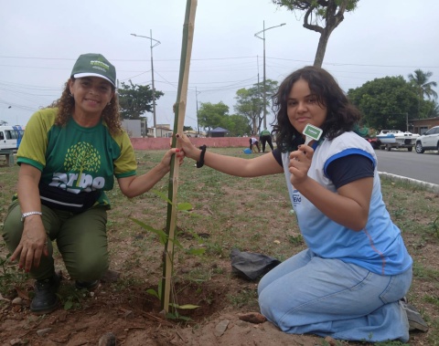 Canteiro do Dique Estrada recebe plantio de árvores de grande porte