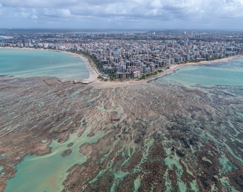 Maceió é líder em vendas no 1º semestre e nas férias de julho, revela Braztoa