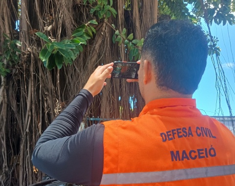 Defesa Civil inicia estudo técnico para avaliar saúde das árvores em praças de Maceió