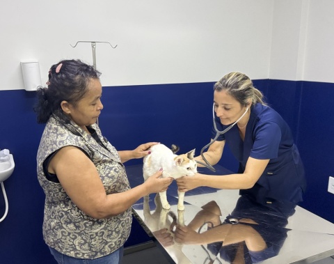 HC Pet muda histórias e leva mais saúde e dignidade aos pets de Maceió