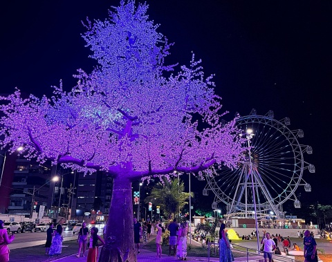 Iluminação de Natal no Parque Massay-ó-k encanta maceioenses e turistas