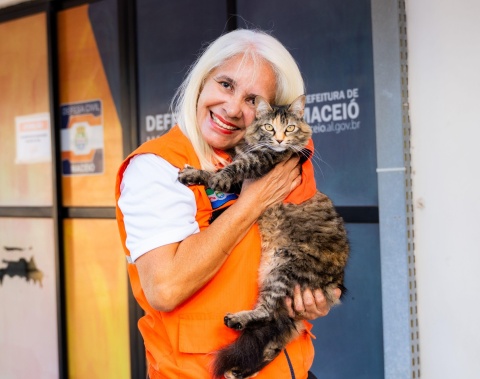Na Defesa Civil de Maceió, três gatinhos encontram proteção, carinho e um lar