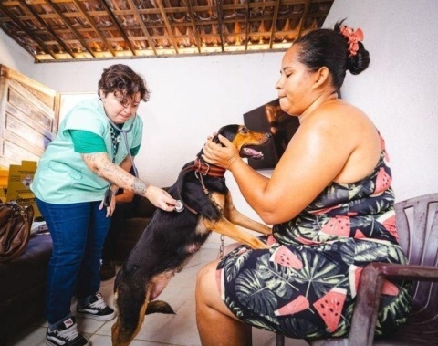 Bem-estar animal avança em Maceió com reforço de ações em 2025