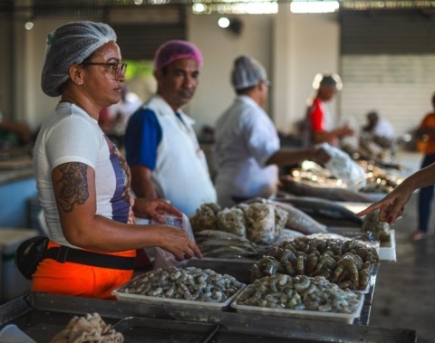 Obras simultâneas em três mercados municipais marcam atuação da Secretaria de Abastecimento em 2025