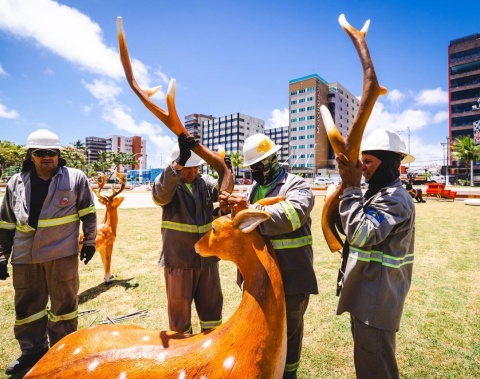 Ornamentação natalina é alvo de vandalismo no Parque Massay-ó-k