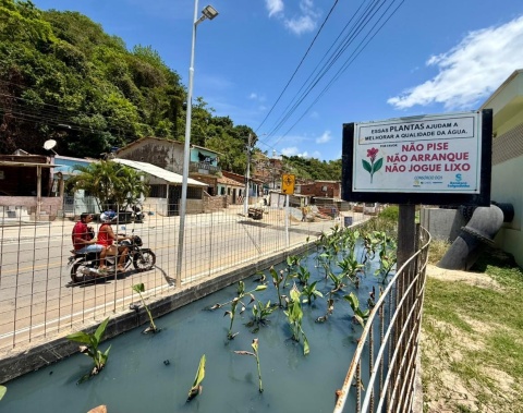 Renasce Salgadinho promove transformação social em Maceió: “Mudança saiu do papel”
