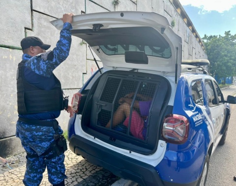 Operação da Segurança Cidadã resulta na prisão de dois homens e apreensão de drogas