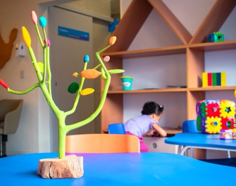 Casa do Autista transforma cuidado em experiência sensorial com acervo de arte popular alagoana; veja obras