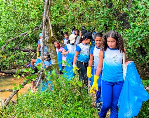 Estudantes da rede municipal aprendem sobre preservação em ação no manguezal