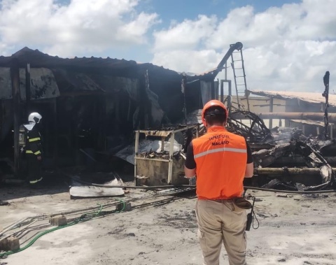 Incêndios em dias de calor: como a Defesa Civil de Maceió atua e as formas da população prevenir