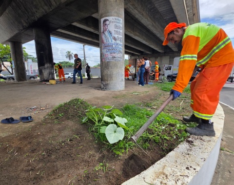Área do viaduto de Jacarecica recebe ação conjunta de melhoria urbana