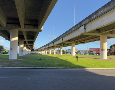 Segurança Cidadã mantém ações de ordenamento no viaduto da antiga PRF