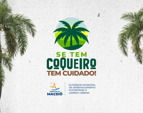 Prefeitura lança na quinta (11) projeto 'Se tem Coqueiro tem Cuidado' no Pontal da Barra
