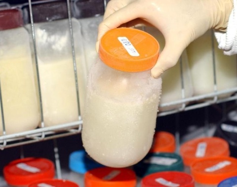 Maceió reforça incentivo à doação de leite humano e alerta para queda no número de doadoras